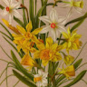 Meet your Posher, Loretta